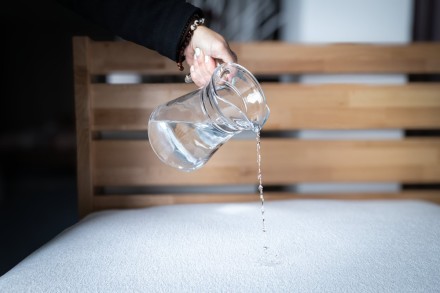 Aloe Vera 30 je chránič matraca, ktorý predĺži jeho životnosť a zároveň ho ochráni pred neočakávanými situáciami.